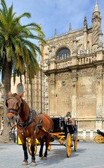 Obraz na płótnie Canvas Horsedrawn carriage waiting in front of the Seville cathedral