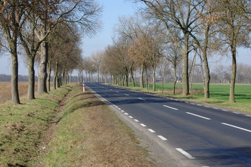 Fototapeta premium Droga.