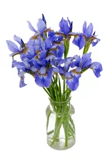 Papier Peint photo Lavable Iris fleurs d& 39 iris dans un vase