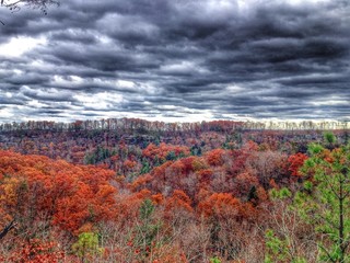 Dramatic sky, autumn mountain forest
