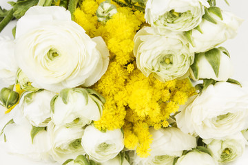mimosa e rose bianche