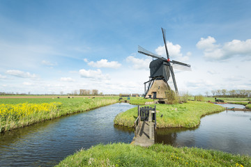Typical Dutch windmill in springtime