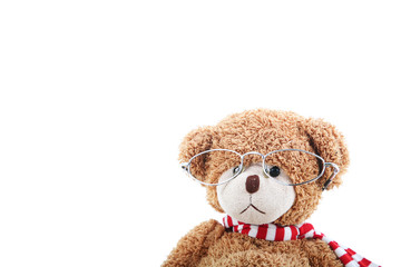 Clever teddy bear on a white background with glasses