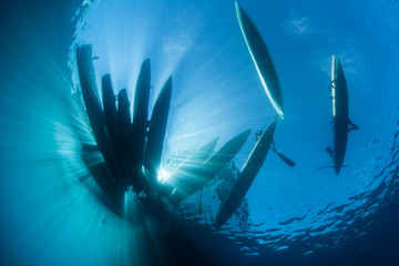 Pacific Islanders and Dugout Canoes © ead72