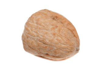 Single walnut isolated