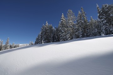 Snowy Hills Colorado