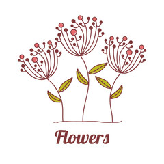 flowers design