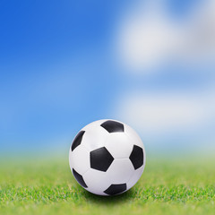 Fototapeta premium Soccer ball