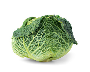 Fototapeta premium Cabbage fresh savoy head