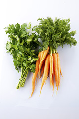 carrot with green parsley isolated on white background