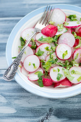 Glass plate with radish salad, close-up, high angle view