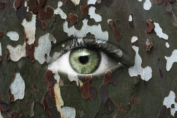 Auge mit Camouflage