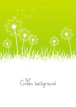Green background with place for text