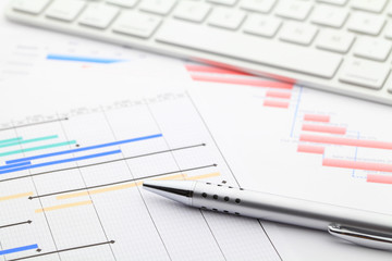 Obraz premium Project gantt chart