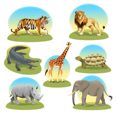 African animals iwith graphic backgrounds.