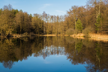 Fototapeta na wymiar Jezioro w Duebener Heide, Saksonii-Anhalt