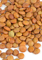 brown lentils isolated on white