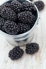 blackberries in a bucket isolated on white background