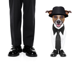 tuxedo dog and owner