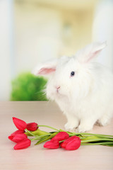White cute rabbit and flowers