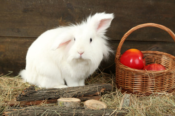 White cute rabbit with apples in basket, on hay