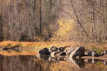 Autumn colors on a shore