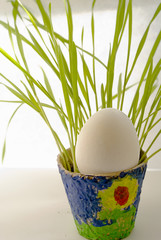 sprouted grass stems