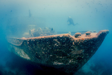 Caribbean Shipwreck © UnderTheSea