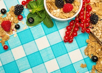 Small bowl with muesli and fresh berries on tablecloth