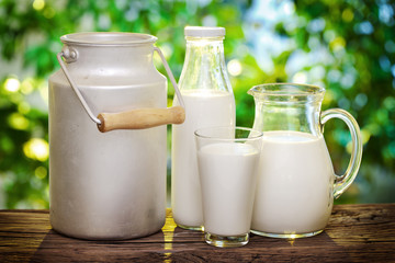 Milk in various dishes.