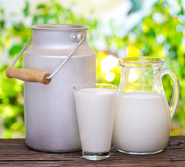 Milk in various dishes.