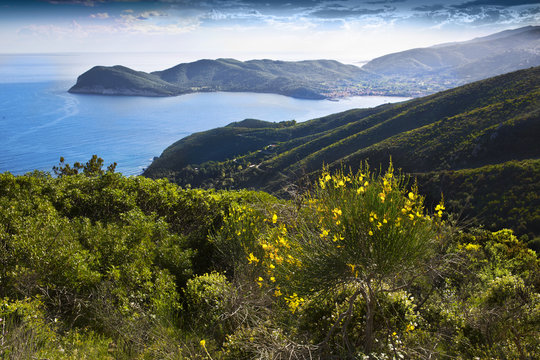 Elba island Tuscany Italy Europe