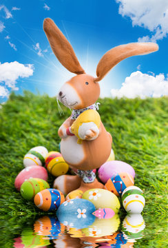 Osterhase mit eiern in der natut