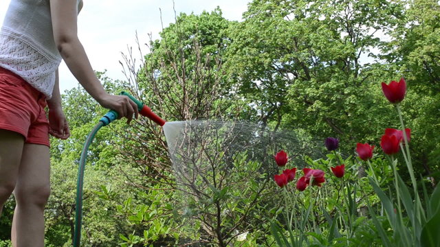 Beautiful farm girl watering garden flowers with hose sprinkler