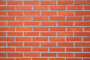 Obraz premium Brick wall texture