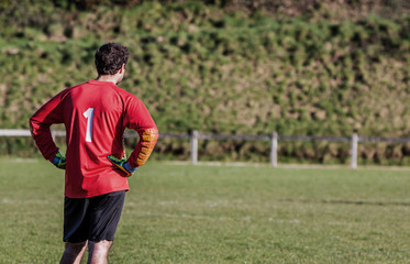 Fototapeta premium Football