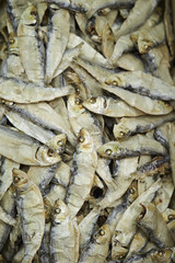 Dried anchovies