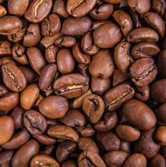 appetizing grains of black coffee