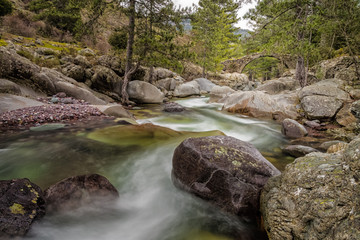 The Tartagine river and Genoese bridge in northern Corsica