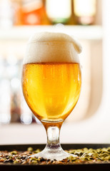 beer in the bar