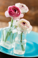 ranunculus in vase