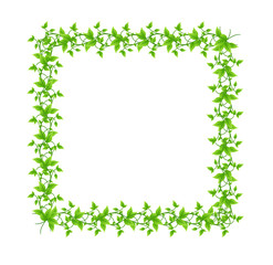 natural frame illustration