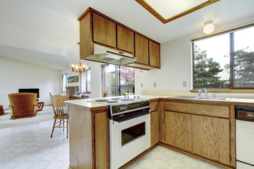 Simple kitchen room interior. View of dining and living room