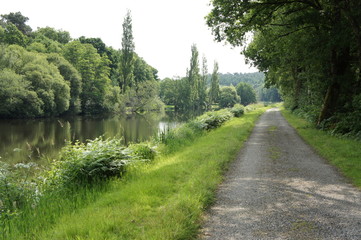 Naklejka premium chemin