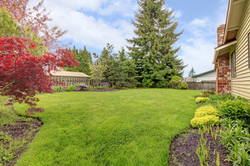 Fototapeta premium View of simple fenced backyard