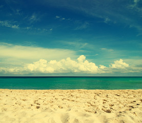 beach and tropical sea