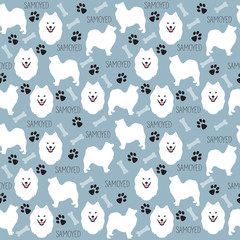 Obraz premium Samoyed dog pattern vector illustration