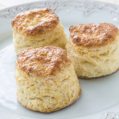 Tea Biscuits