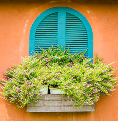 Fototapeta na wymiar Tuscany window