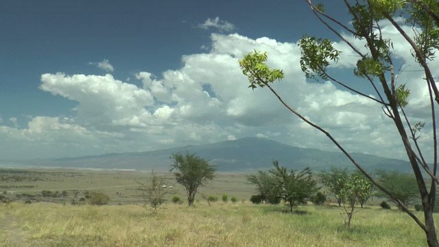 paysage de tazanie